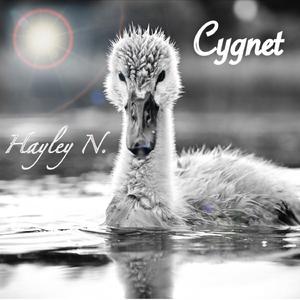 Cygnet