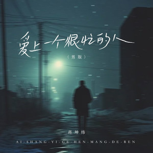 爱上一个很忙的人 (DJ长梦版)