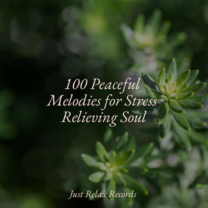 Joyful Blooms Forever