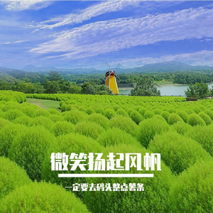 半寸柔肠