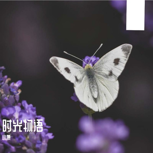 我们的四年