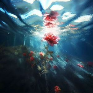 La trampa（圈套）