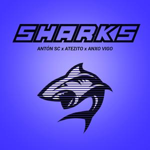 Sharks (feat. Atezito & Anxo Vigo)