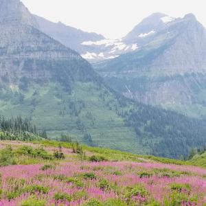 Sweet home Montana