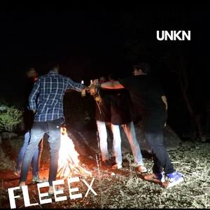 FlEEEx