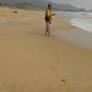 斯卡布罗集市（翻自 莎拉.布莱曼）