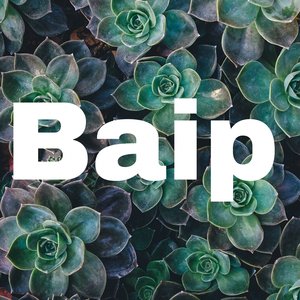 Baipook