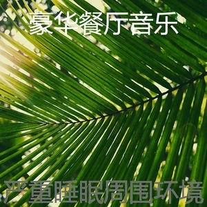 醇厚正在学习音乐