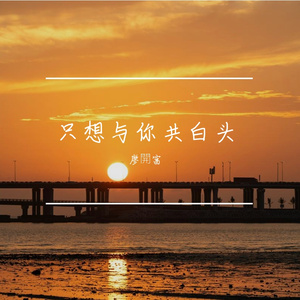 只想与你共白头