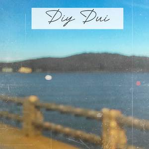 DIY DUI (2025 Demo)