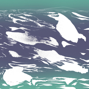 Seil - Sails