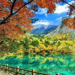 悲伤的人是她自己