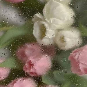 梦中的生活
