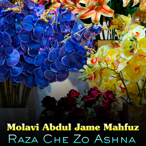 Zamozh Shor Da Erado De