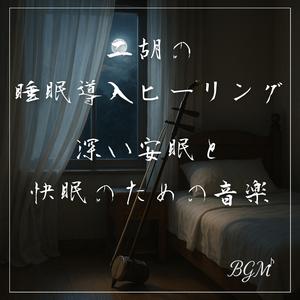二胡で聴く睡眠導入リラクゼーション