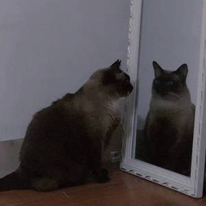01:25