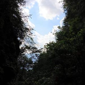 风雪飘飘