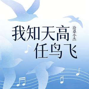 我知天高任鸟飞