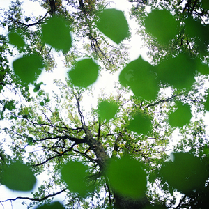 Weightless Conditions