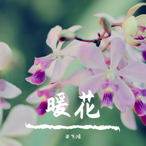 暖花01