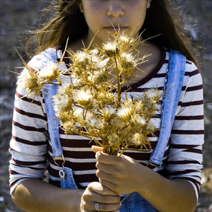 Κράτα Την Άνοιξη