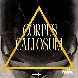 Corpus Callosum