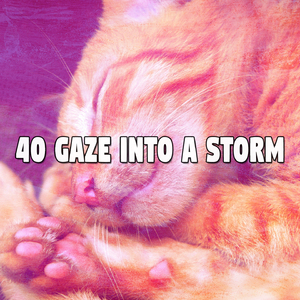 清新寧靜的風暴