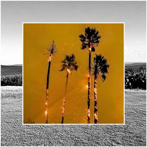 I miss your warm hands