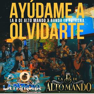 Ayúdame A Olvidarte