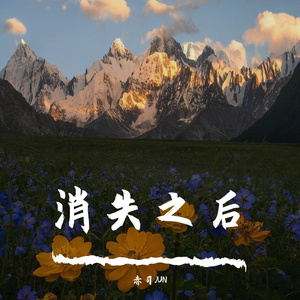 消失之后