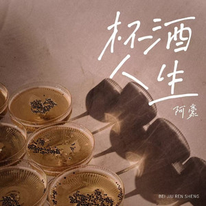 杯酒人生 (伴奏)