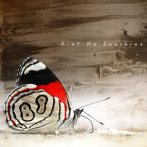 Aint No Sunshine