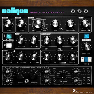 Nose Dive (Valique Future Boogie acid dub)