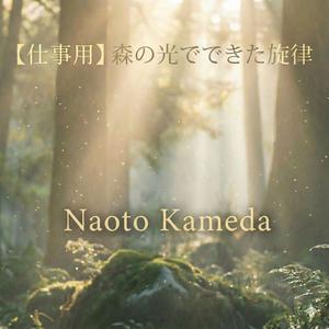 小川のせせらぎに溶けるフォークトロニカ (1)