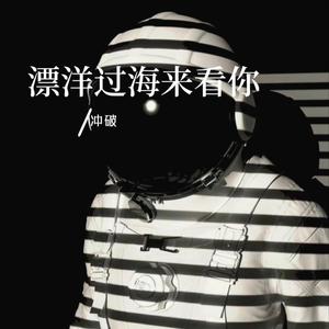 漂洋过海来看你（DJ版）