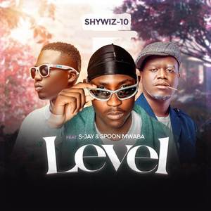 LEVEL