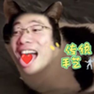 有个简单的问题，什么是大鸟(大司马)