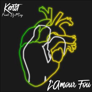 L'amour fou (feat. Dj M'sy)