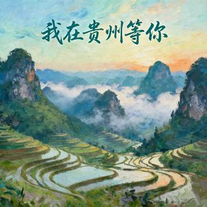 我在贵州等你（烟嗓男版）