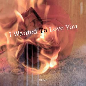 I Wanted To Love You