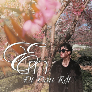 Em Đi Đâu Rồi
