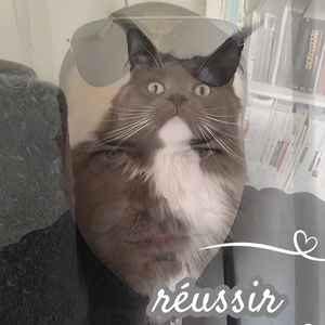 Réussir