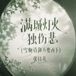 满城灯火独伤悲(雪啊请你不要再下)
