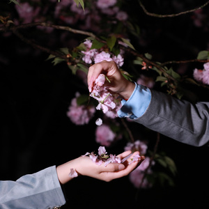 光るなら (若能绽放光芒)