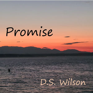 Promise