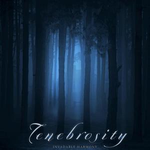 Tenebrosity