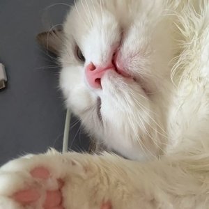 刻在我心底的名字