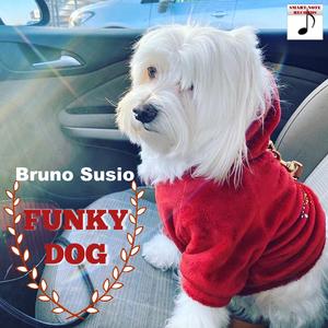 Funky Dog