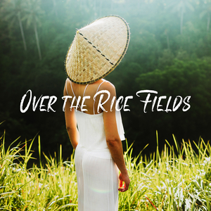 Over Rice Fields