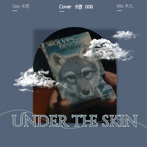 Under the skin（中文版）